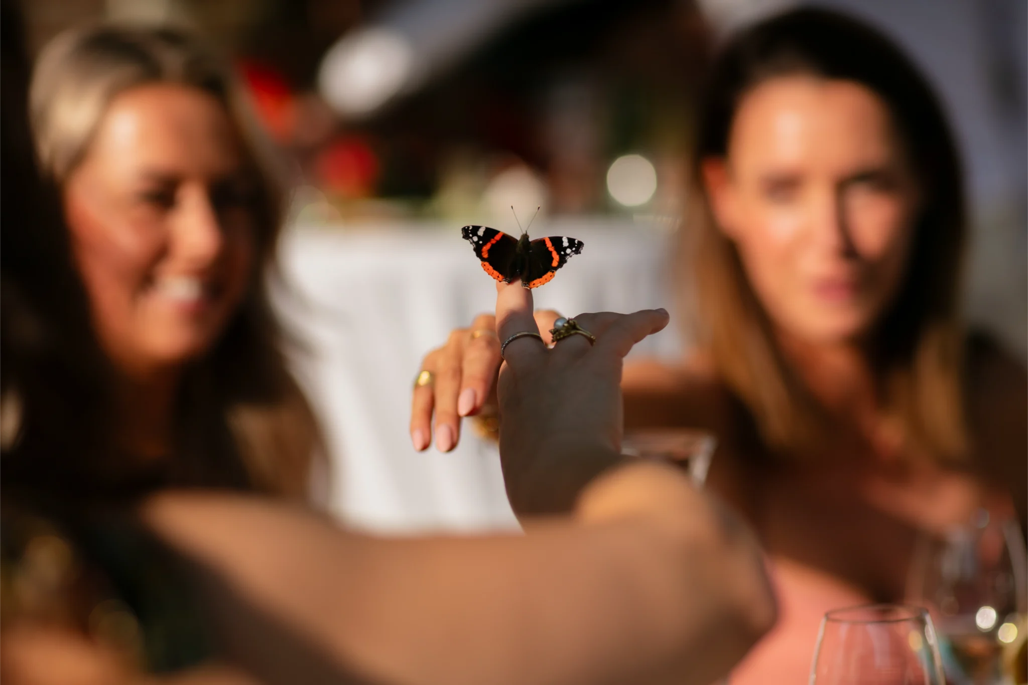 Verjaardagsfeest Zoetermeer