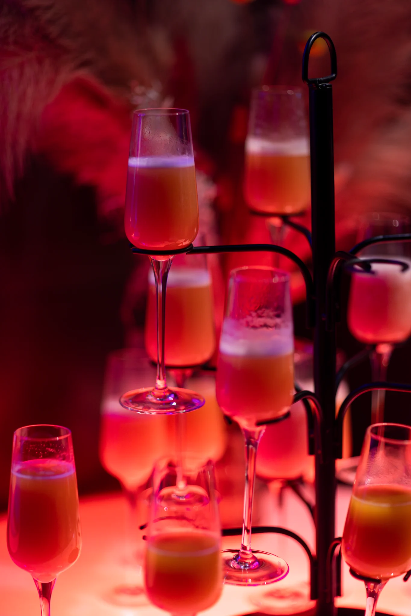 Verjaardagsfeest Amsterdam